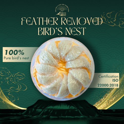 FEATHER REMOVED BIRD'S NEST